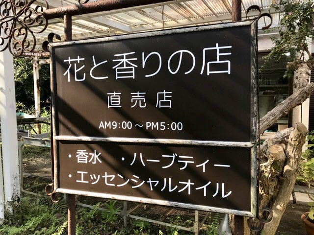d0156557_10022025.jpeg