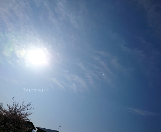 d0362666_23031557.jpg