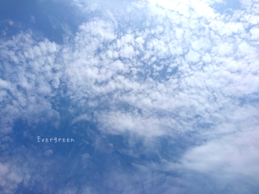 d0362666_23100079.jpg