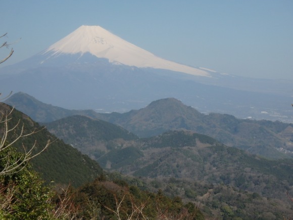 桜薫る、伊豆城山。_b0050067_22281779.jpg