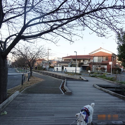 d0176767_13292530.jpg