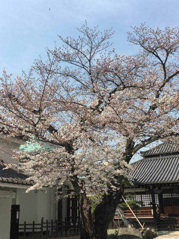 f0363168_21115848.jpeg