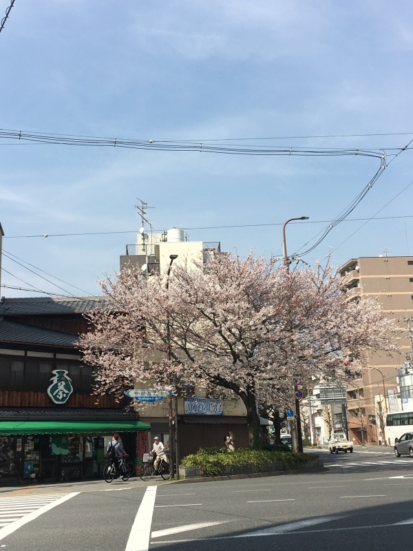 f0363168_21130196.jpeg