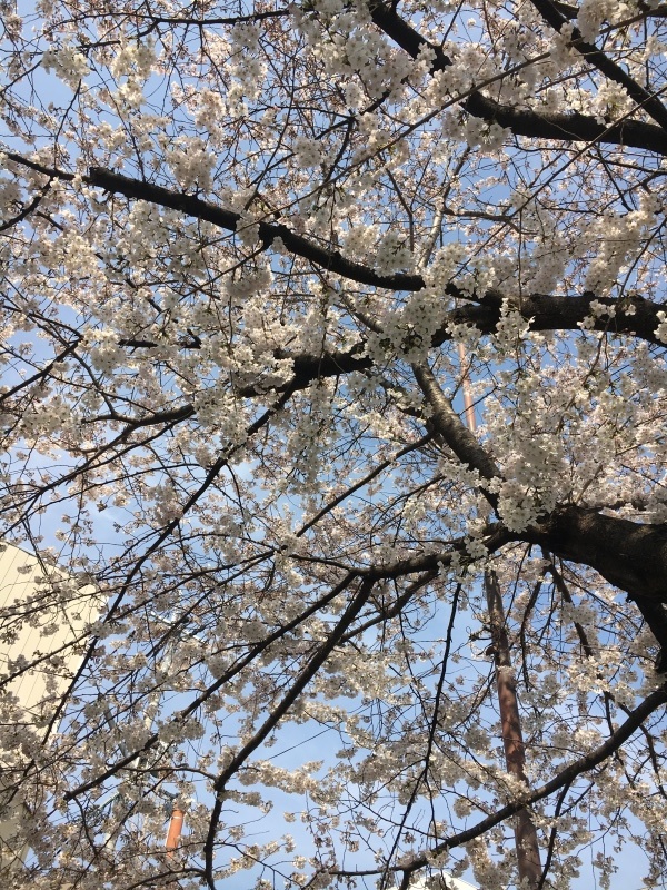 f0363168_21132997.jpeg