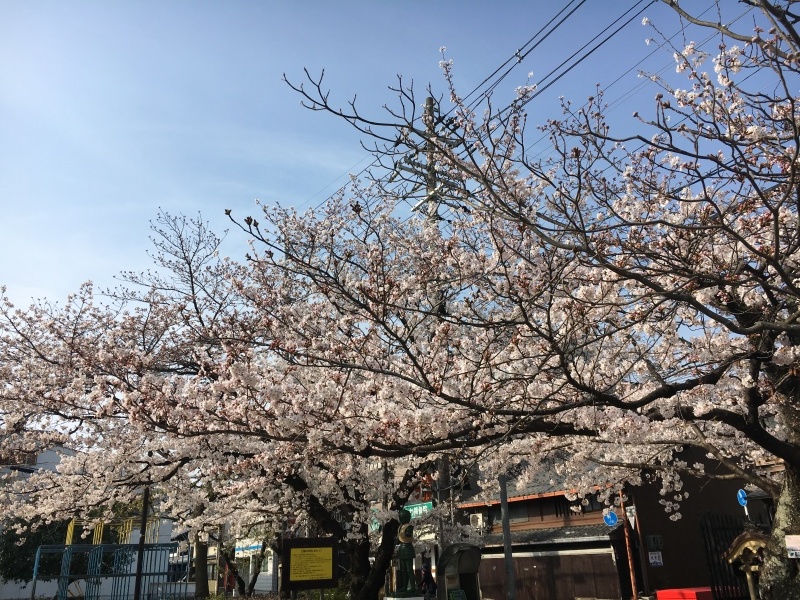 f0363168_21141345.jpeg
