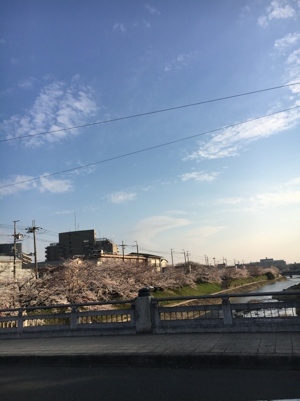 f0363168_21160102.jpeg