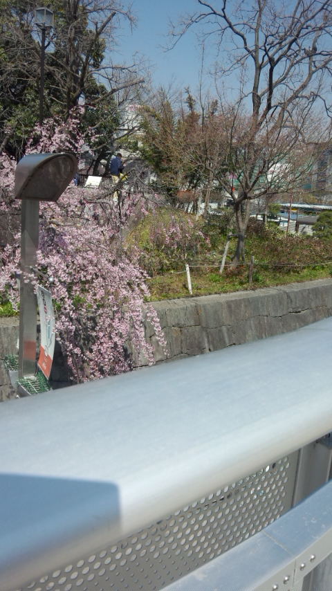 b0018469_133502.jpg