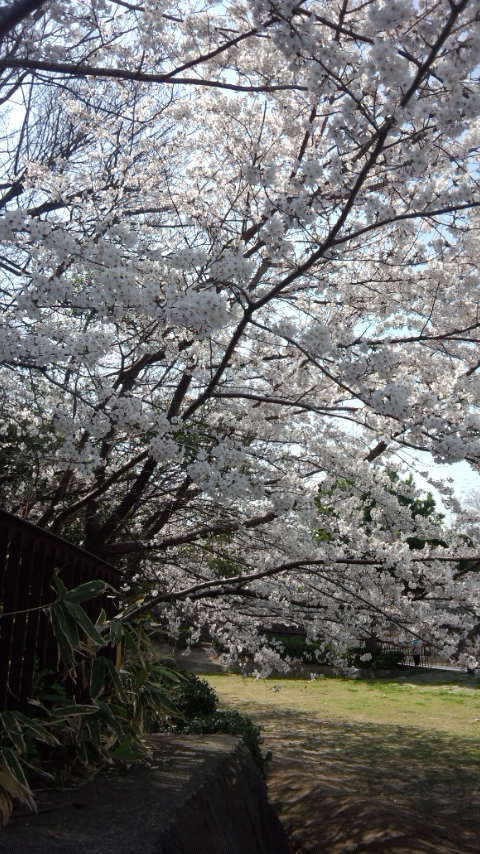 b0018469_1335060.jpg