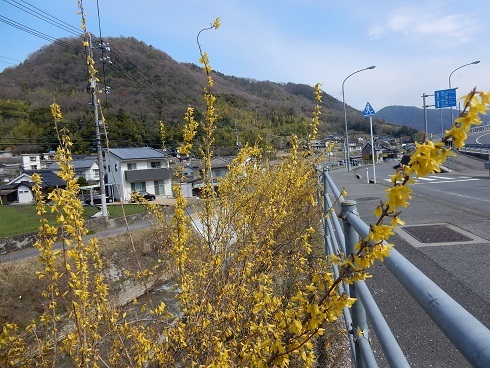 春爛漫、里は色彩にあふれ_e0175370_21260965.jpg
