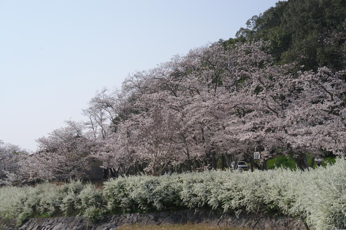 　耳成山公園　リベンジ！_b0161171_21123481.jpg