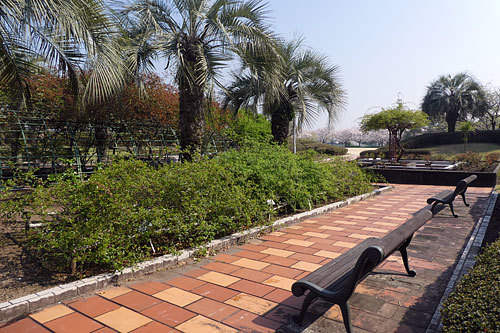 c0152779_12015721.jpg