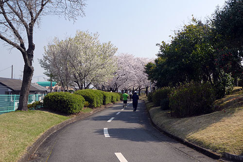 c0152779_12052297.jpg