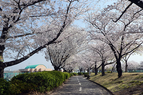 c0152779_12094129.jpg