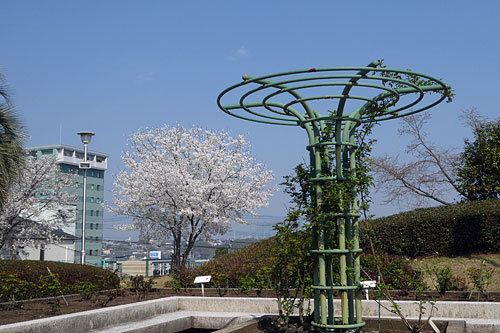 c0152779_12142285.jpg