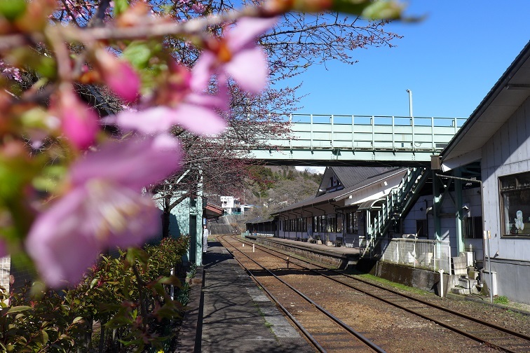 ３月２７日「夕刊」「わたらせ渓谷鉄道」沿いに。。_a0130586_19095401.jpg