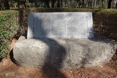 d0183387_22100217.jpg