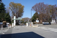 d0183387_23464891.jpg