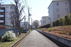 d0183387_23562128.jpg
