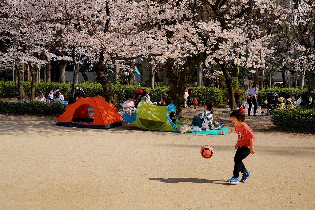 桜_c0022089_21475199.jpg