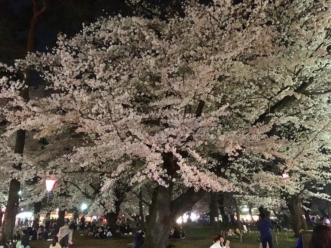 春_a0129492_23445337.jpeg