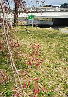 b0205694_09405535.jpg