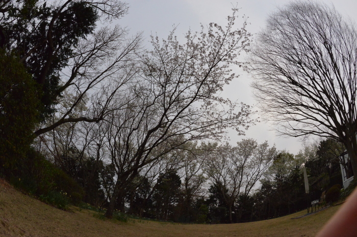 f0268294_23143470.jpeg