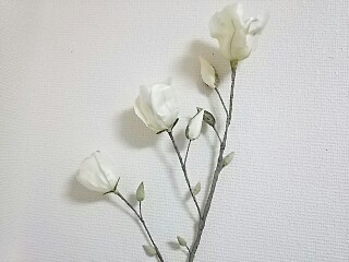 f0303594_18052217.jpg