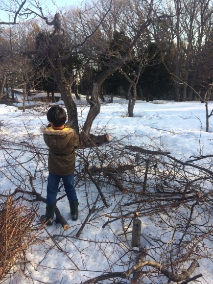 b0199097_13441666.jpeg