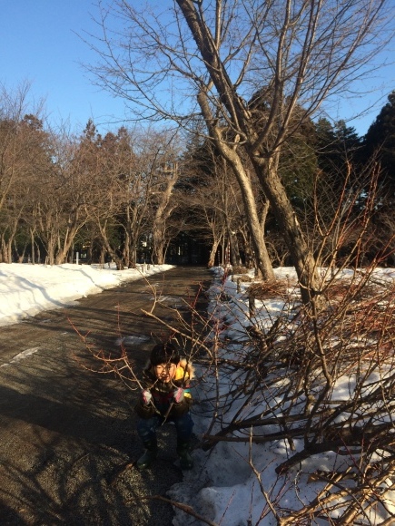 b0199097_13444251.jpeg