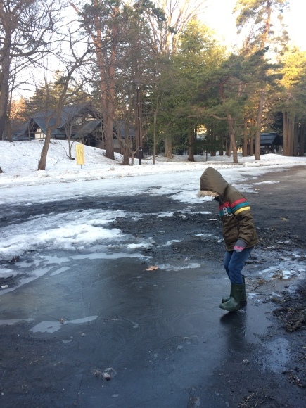 b0199097_13451256.jpeg