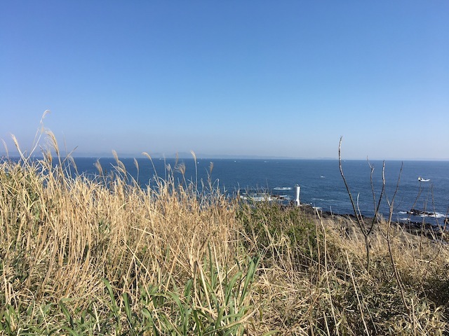 d0343297_15422540.jpeg