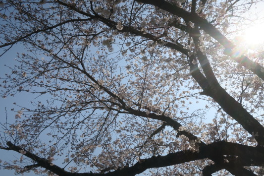 早朝ライドの試走に行ってきました 2_c0132901_20325173.jpg