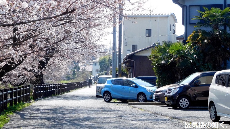 「月がきれい」舞台探訪016 桜の季節に新河岸川氷川橋から起点の碑までを巡って(H300325)_e0304702_19541052.jpg