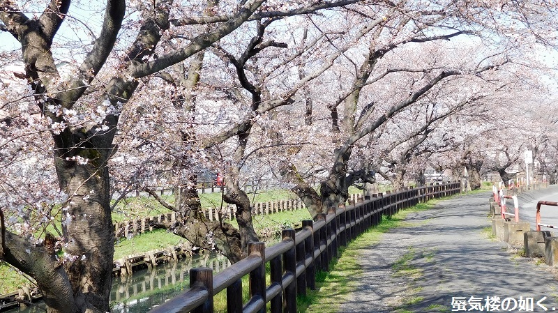 「月がきれい」舞台探訪016　桜の季節に新河岸川氷川橋から起点の碑までを巡って(H300325)_e0304702_19544756.jpg