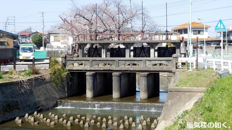 「月がきれい」舞台探訪016 桜の季節に新河岸川氷川橋から起点の碑までを巡って(H300325)_e0304702_20431471.jpg