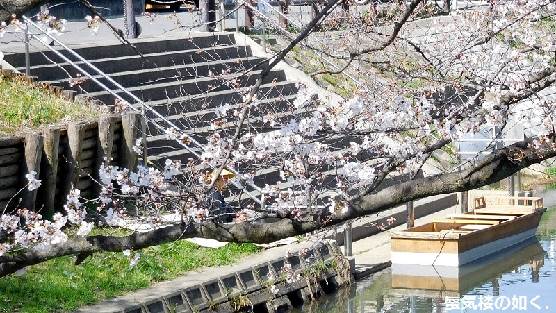 「月がきれい」舞台探訪016　桜の季節に新河岸川氷川橋から起点の碑までを巡って(H300325)_e0304702_20433585.jpg