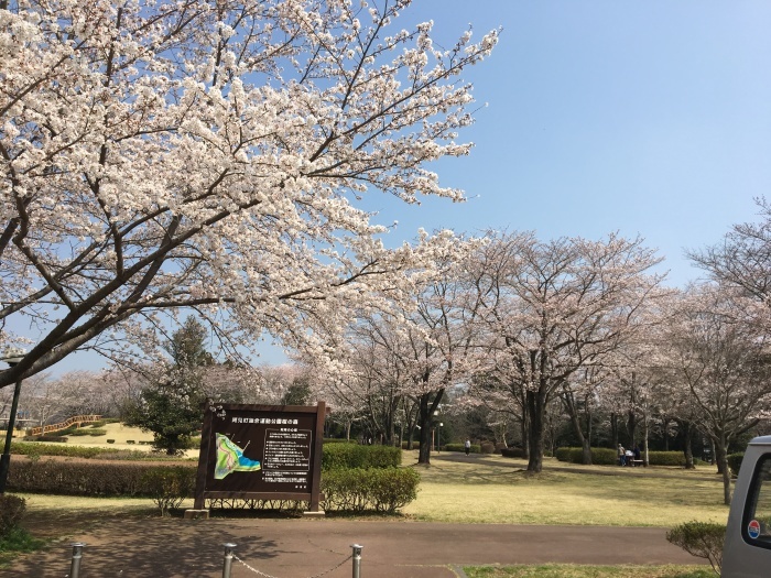 絶賛SALE開催中_b0120103_19251032.jpeg
