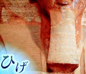 古代エジプト 3人の女王のミステリー_b0044404_21152321.jpg