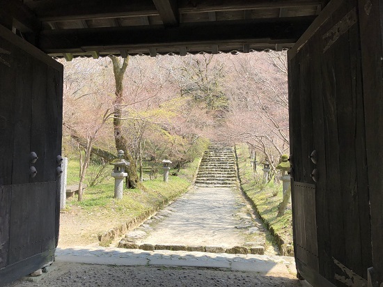 垂裕神社（朝倉市秋月）_f0364707_20542456.jpg