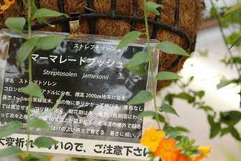 f0325309_14284745.jpg