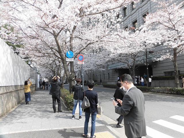 「人口減少社会の地域経営」、「子どもの貧困」 サクラが満開の東京で2日間の研修_f0141310_07493231.jpg