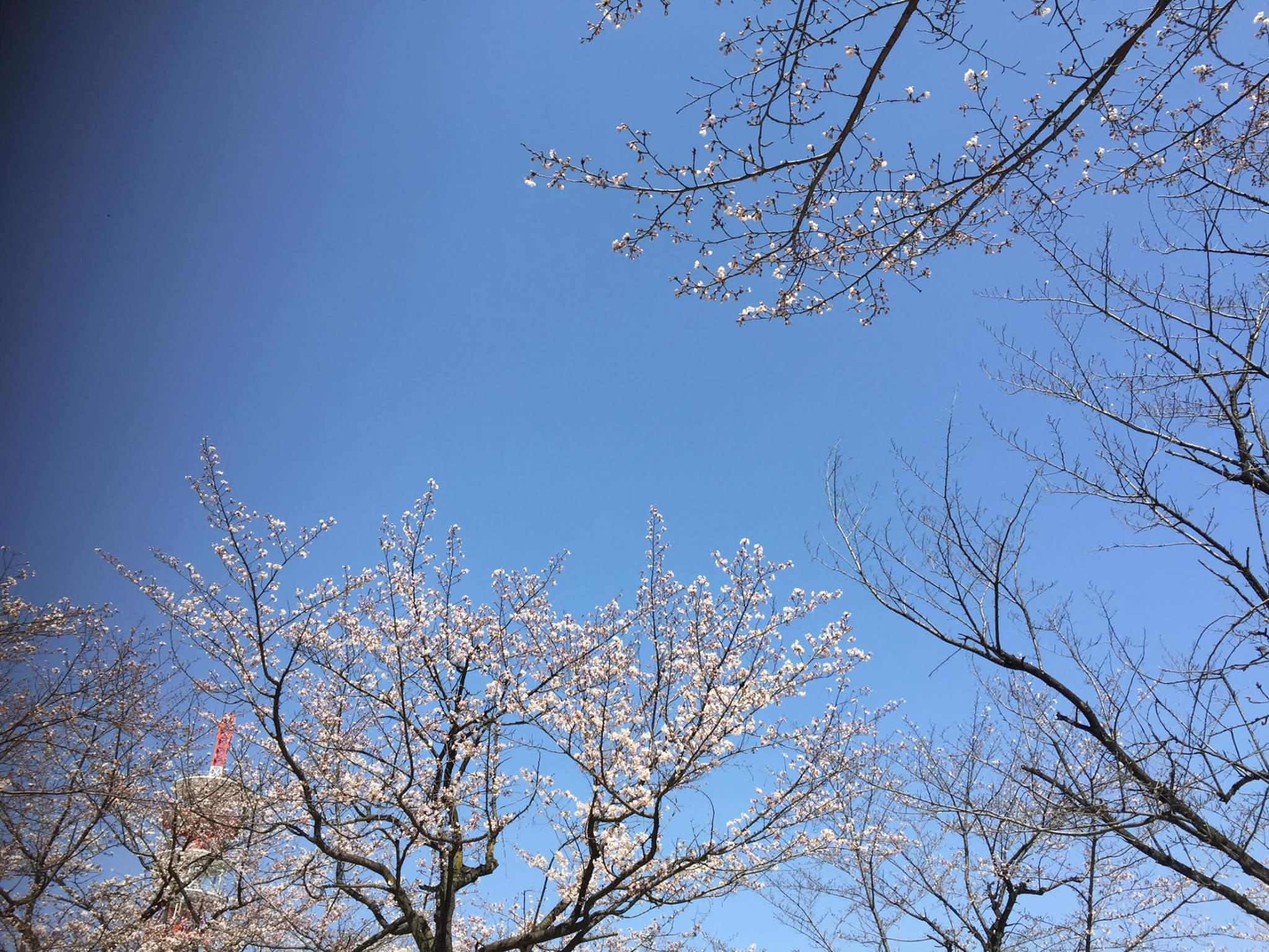 e0351913_19324040.jpg
