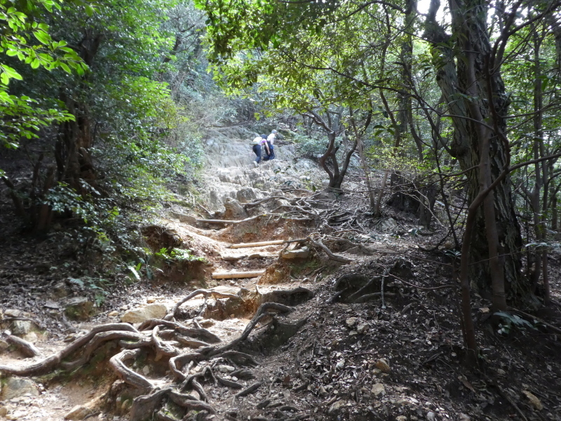 桜満開岐阜公園・金華山 (328.9M) に登る_d0170615_20340505.jpg