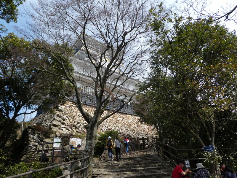 桜満開岐阜公園・金華山 (328.9M) に登る_d0170615_20342033.jpg