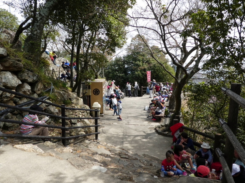 桜満開岐阜公園・金華山 (328.9M) に登る_d0170615_20342878.jpg