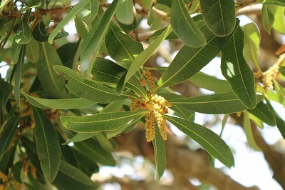 e0373815_12011926.jpg