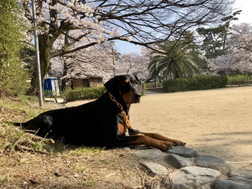c0324418_16051415.jpeg