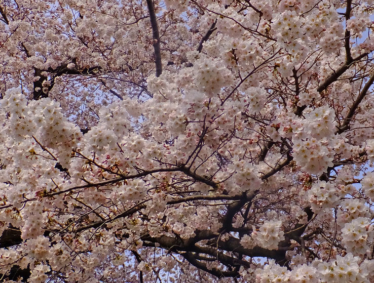 b0215220_08484986.jpg