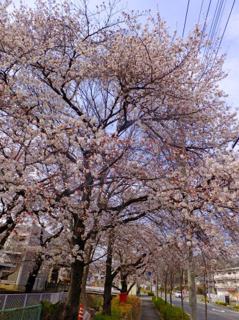 b0215220_08493643.jpg