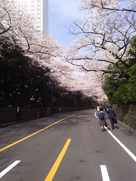 c0203224_08511570.jpg